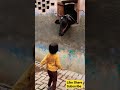 Cow Videos Trending Viral