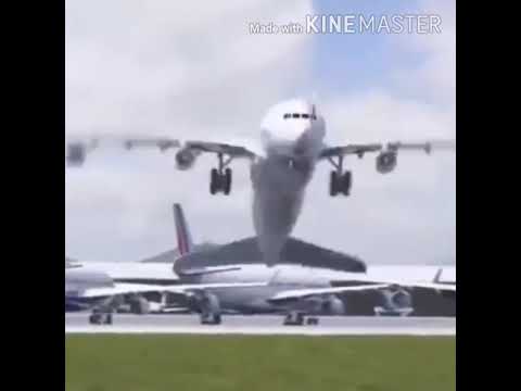 Airplane Dancing Disco with Passengers
