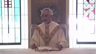 Fr. Francisco's Homily Sunday May 2nd