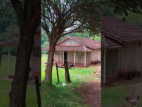 Casas Antigas Com Mais De 60 Anos Em Barbosa Ferraz PR