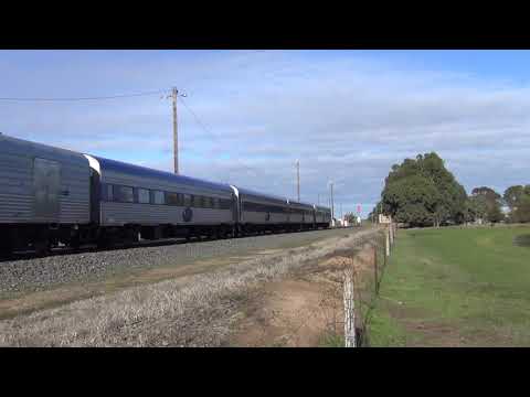 7MA8 The Overland with Nr 38 at Maroona 22.6.2019