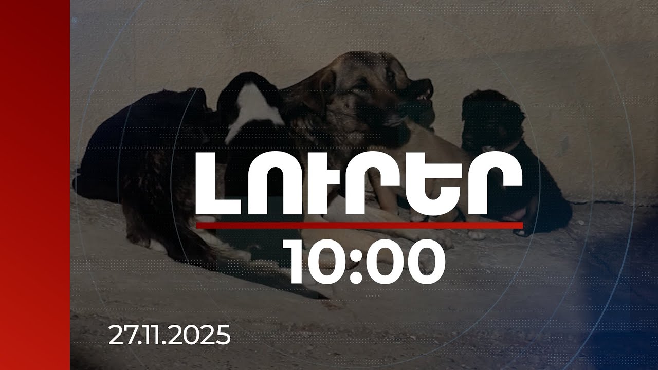 Լուրեր 10։00 | Թափառող կենդանիների համար կացարաններ կկառուցվեն. առաջին երեքը՝ սուբվենցիոն ծրագրով