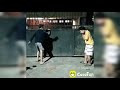 Kumpulan Cocofun Lucu Story Wa