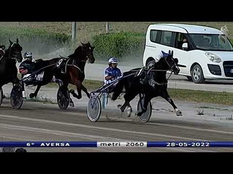 Aversa trotto 28 Maggio 2022 - 6° Corsa
