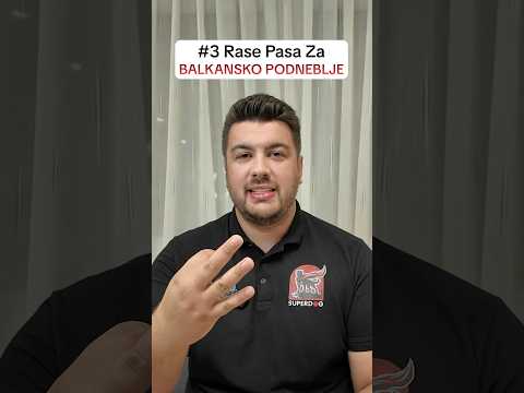 Top 3 rase pasa za balkanako podneblje! (Nismo uključili domaće rase!) #superdog #dresurapasa #pas