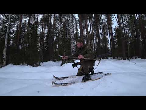 Одиночная вылазка в тайгу в "глухозимье"