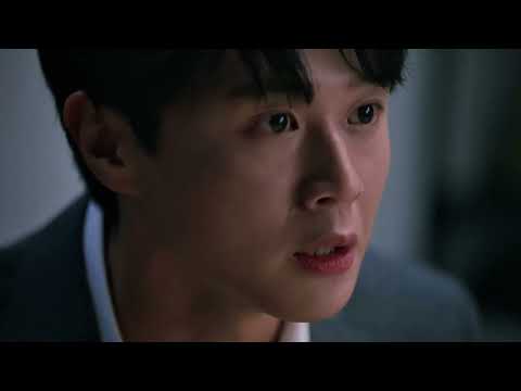 비디오 12