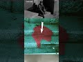 Hiroshima Shadows