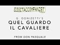 Quel guardo il cavaliere... So anch'io la virtu magica – Digital Accompaniment