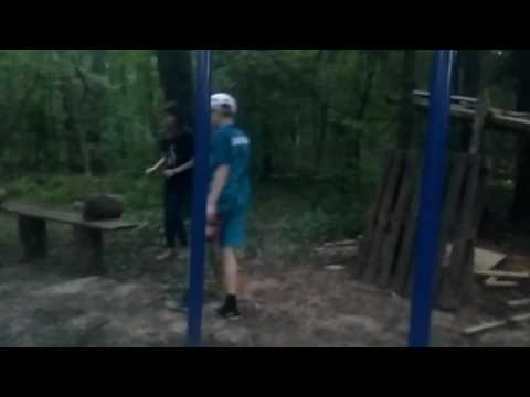 Котопульта