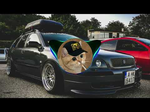 Painajainen - Traumaeläin (ft. Sairas T) BASS BOOSTED