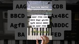 Download lagu Tutorial 374 | Pencinta Wanita. 🎹 #pianotutorial #suffixpiano #irwansyah #pencintawanita #shorts mp3