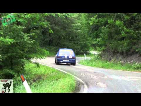 Rally Dell 'Amarotto 2014 show and crash HD Pure sound