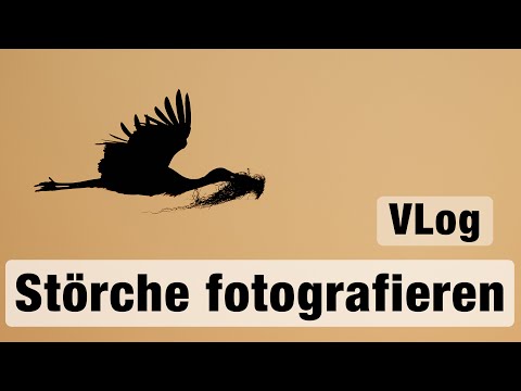 VLOG Tierfotografie - Störche und Hasen fotografieren
