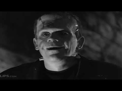 The Monster Meets His Bride (Bride of Frankenstein)