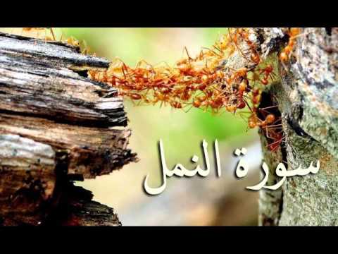 سورة النمل والقصص والعنكبوت والروم .. الصوت النّديّ  سعد الغامدي HQ