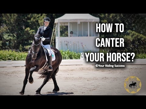 download lagu mp3 mp4 How To Canter On A Horse, download lagu How To Canter On A Horse gratis, unduh video klip How To Canter On A Horse