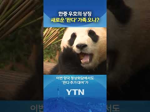 판다 추가 대여? #shorts / YTN