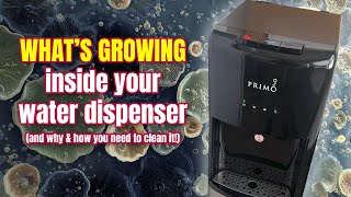 Before you drink, when's the last time you cleaned your water dispenser?