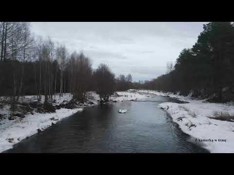 Liswarta z lotu ptaka 4K60