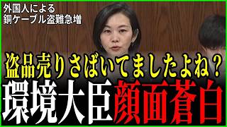 【国会追求】外国人が盗んだ金属の行き先を梅村みずほが追及！環境大臣タジタジ…誰も触れない理由【参政党 梅村みずほ】