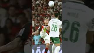 Flamengo e Palmeiras foi uma humilhação no Brasileirão #flamengo #palmeiras
