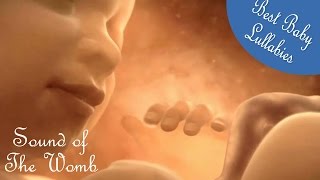 ♥  WOMB SOUNDS BABY HEART BEAT TO PUT BABY TO SLEEP  REALLY DOES WORK As Baby Lullaby ♥