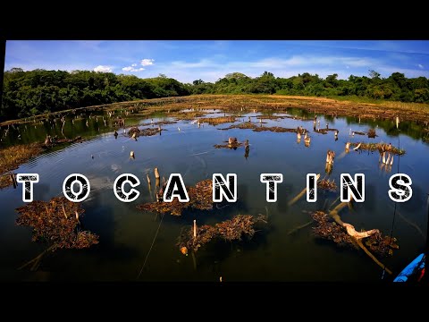 LAGOA TOCANTINS | OS GUIAS ESCONDEM ESSE PONTO!!! PESCARIA TUCUNARÉ TRAÍRA PANORAMA PAULICÉIA