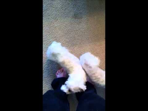 Keanna Cutely Sits Between My Feet