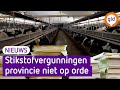 Provincie heeft geen zicht op stikstofvergunningen