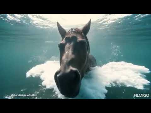 Mi vida aqui.  Santa Lucia milpas altas.  Tema original Byron Lopez Rodas 