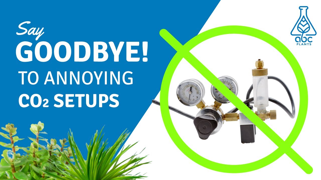 YouTube video preview