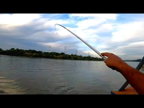 MUTNA SAVA PUNA RIBE