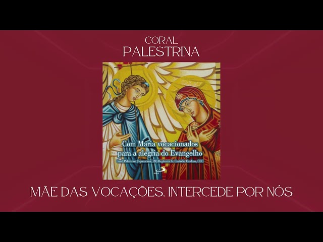 Preview do vídeo