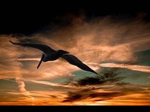 download lagu mp3 mp4 Musique De Country, download lagu Musique De Country gratis, unduh video klip Musique De Country