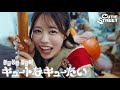 【MV】CUTIE STREET『동글동글 동글이（キュートなキューたい）』