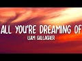 Liam Gallagher - All You're Dreaming Of (Lyrics)