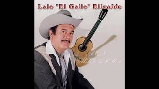 Lalo El Gallo Elizalde (La Huella De Mis Besos)