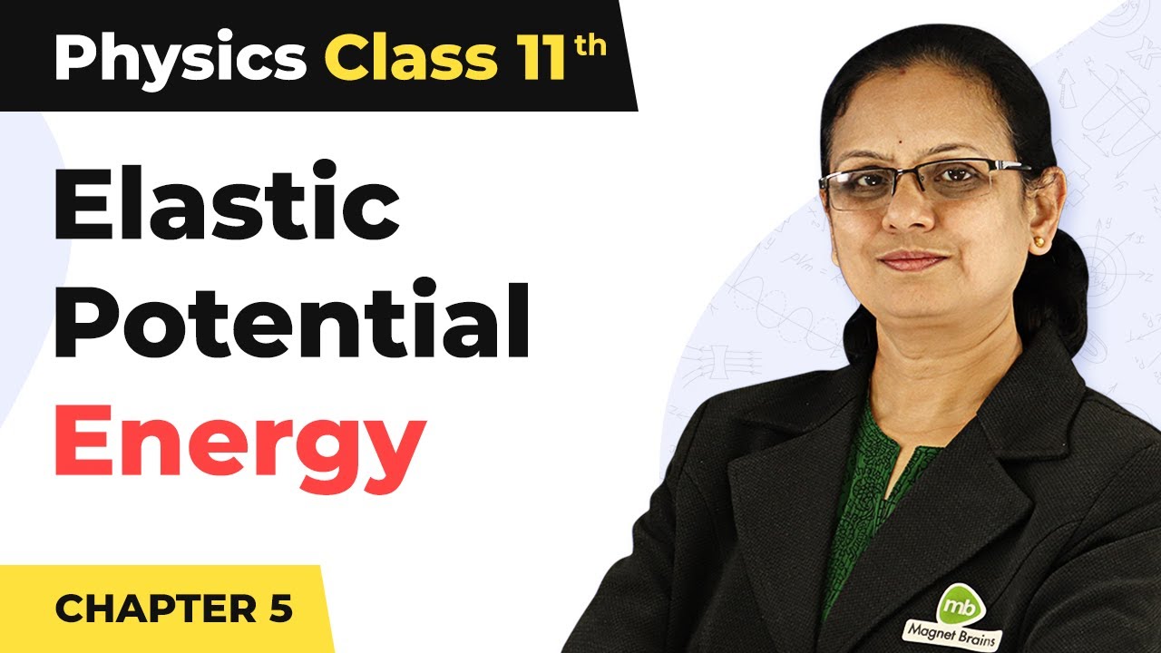 Potential Energy of a Spring - Work, Energy and Power | Class 11 Physics