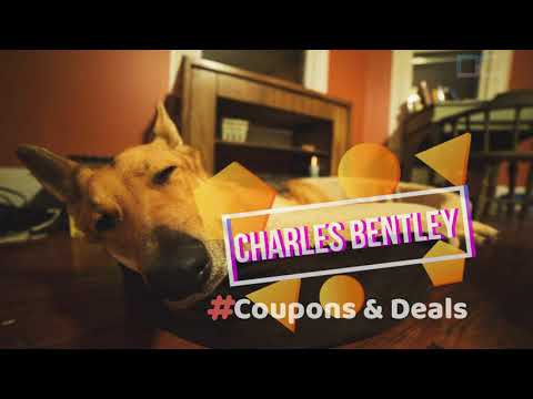 gorilla dog beds coupon code