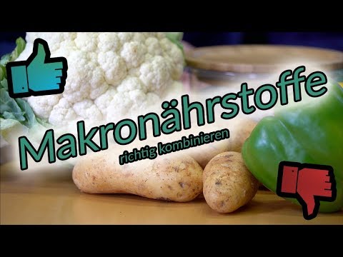 Macronutrients – Carbohydrates, Fats, and Proteins | Prof. Ingo Froböse | Froböse Formula