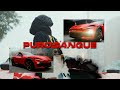 Y7Y - PUROSANGUE