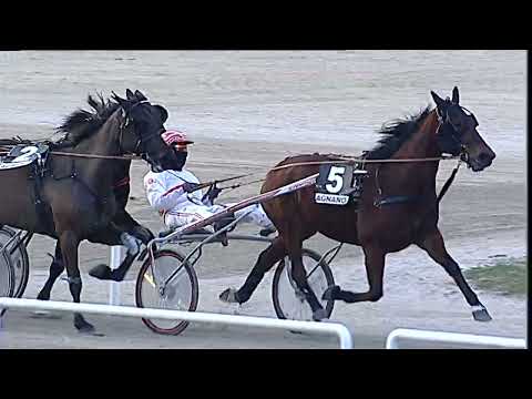 Napoli Trotto 10/02/2023 - 7ª corsa