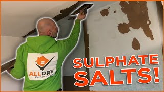 Preview of How To Treat / Prevent Sulphate Salts - Damp Sam on The Job!.