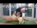 SHORT CLIPS Easy Yoga Flow To Relax ENGLISH