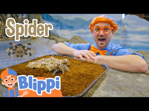 Blippi Visits The Zoo - Learning Animals For Kids | Educational Videos For Children