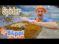 Blippi Visits The Zoo Learning Animals For Kids Educational Videos For Children