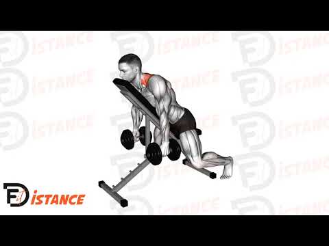 Shrugs aux haltères sur banc incliné - Exercice Shrugs aux haltères sur banc incliné en vidéo
