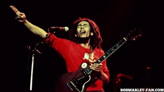 Bob Marley - Soul Shake Up Party - 1979