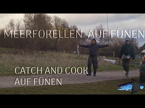 Erfolgreiches Catch and Cook - Meerforellen angeln auf Fünen